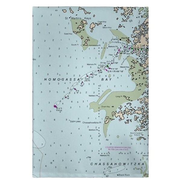 Betsy Drake GT11409CR 20 x 20 in. Crystal Bay to Homosassa Bay; MD Nautical Map Guest Towel GT11409CR - main